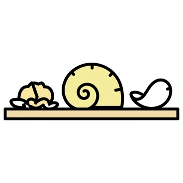 A shelf made of light wood displays a collection of various types of shells. In the center, a prominent conch shell is showcased, featuring its distinctive spiral shape and intricate texture. Surrounding the conch are smaller shells, including a smooth, shiny cowrie shell and a ridged scallop shell. Each shell is arranged neatly, highlighting their unique colors and patterns against the natural wood of the shelf.