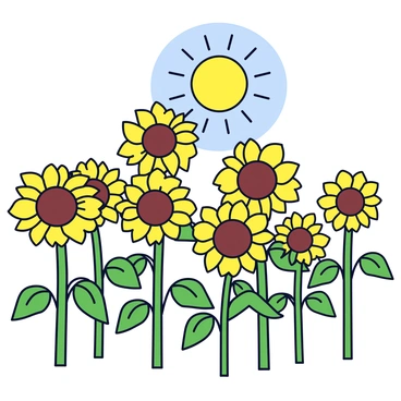 A field of tall sunflowers with vibrant yellow petals. The sunflowers have large brown centers and their heads are tilted towards a bright, radiant sun in the blue sky. The green stems and leaves of the sunflowers are lush, creating a rich tapestry of greenery that contrasts against the golden flowers.