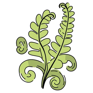 A close-up view of a "young fern frond" with vibrant green leaves, showing the intricate details of the unfurling process. The frond has tightly coiled tips that gradually extend outward, revealing delicate leaflets. The texture of the leaves is smooth with a glossy sheen, and the light catches the veins running through each leaflet, emphasizing their structure. The background is soft and blurred, focusing attention on the fern frond as it emerges from the surrounding foliage.