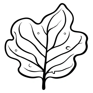 A close-up view of a fig leaf with detailed, intricate vein patterns visible throughout. The leaf is large and prominently displayed, showcasing its unique texture and the natural contours of its surface. The veins create a complex network, emphasizing the leaf's structure. There are small droplets of water on the leaf, enhancing the depth of the illustration. The background is minimal, highlighting the leaf as the focal point of the image.
