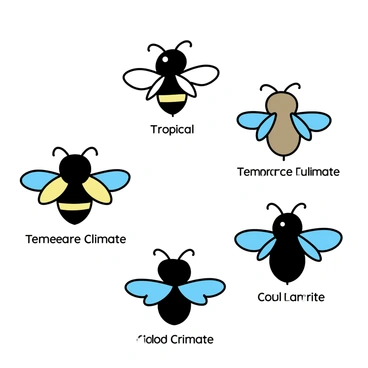 Illustration of how bees adapt to different climates using their anatomy