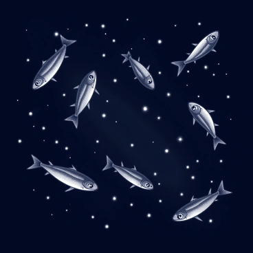 A night sky filled with numerous twinkling stars. The constellations are uniquely arranged to resemble sardines, with their elongated bodies and fins clearly defined. Each sardine shape is connected by faint lines that mimic the typical constellation structure. The background is a deep black, enhancing the brightness of the stars and the sardine shapes against the vastness of space.