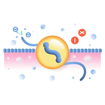 An illustration of a sodium-potassium pump embedded in a neuron membrane is showcased. The pump, depicted as a large, protein-like structure, is actively engaged in transporting ions. On one side of the membrane, three "sodium" ions in blue are being released from the inside of the neuron into the extracellular space. Meanwhile, on the opposite side, two "potassium" ions in red are being drawn into the neuron from the outside. The neuron membrane is shown as a thin, semi-permeable barrier, with the pump located in the center. Surrounding the membrane, small circles representing water molecules are dispersed to indicate the aqueous environment.
