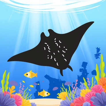 Manta ray