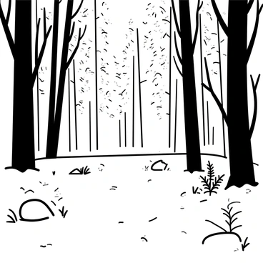A main clearing in a dense forest, surrounded by tall trees with intricate bark textures. Sunlight is streaming through the branches, casting defined shadows on the forest floor. In the clearing, patches of grass and scattered leaves are visible. Some ferns and small wildflowers are growing near the edges. A few large stones are scattered throughout, adding to the natural setting. The atmosphere conveys a sense of openness amidst the surrounding foliage.
