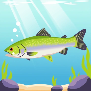 A close-up view of a trout underwater, showcasing its vibrant colors and intricate patterns. The trout has shimmering scales that reflect light, showing hues of green, blue, and silver. Tiny bubbles can be seen rising around the fish, and soft beams of sunlight penetrate the water, highlighting the details of the trout's fins and body. The background features blurred aquatic plants and pebbles, creating a natural underwater environment.