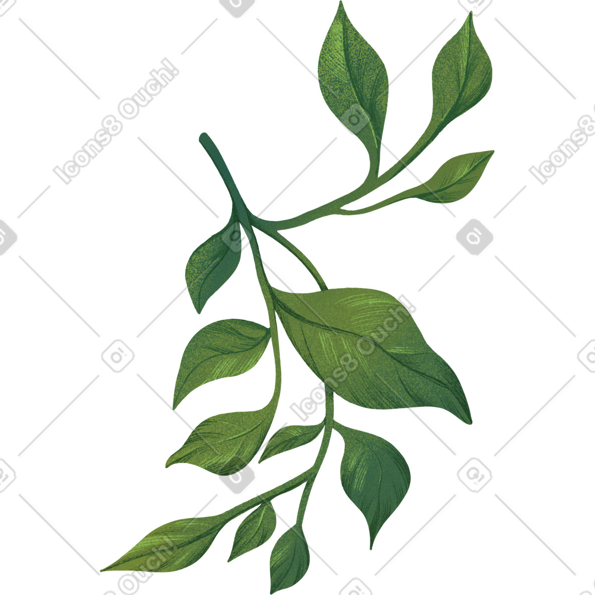 Green twig with lots of leaves illustration in Floral style download in PNG, SVG