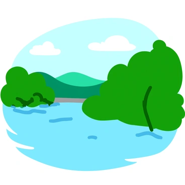 A serene park in China submerged under floodwaters, with only treetops visible