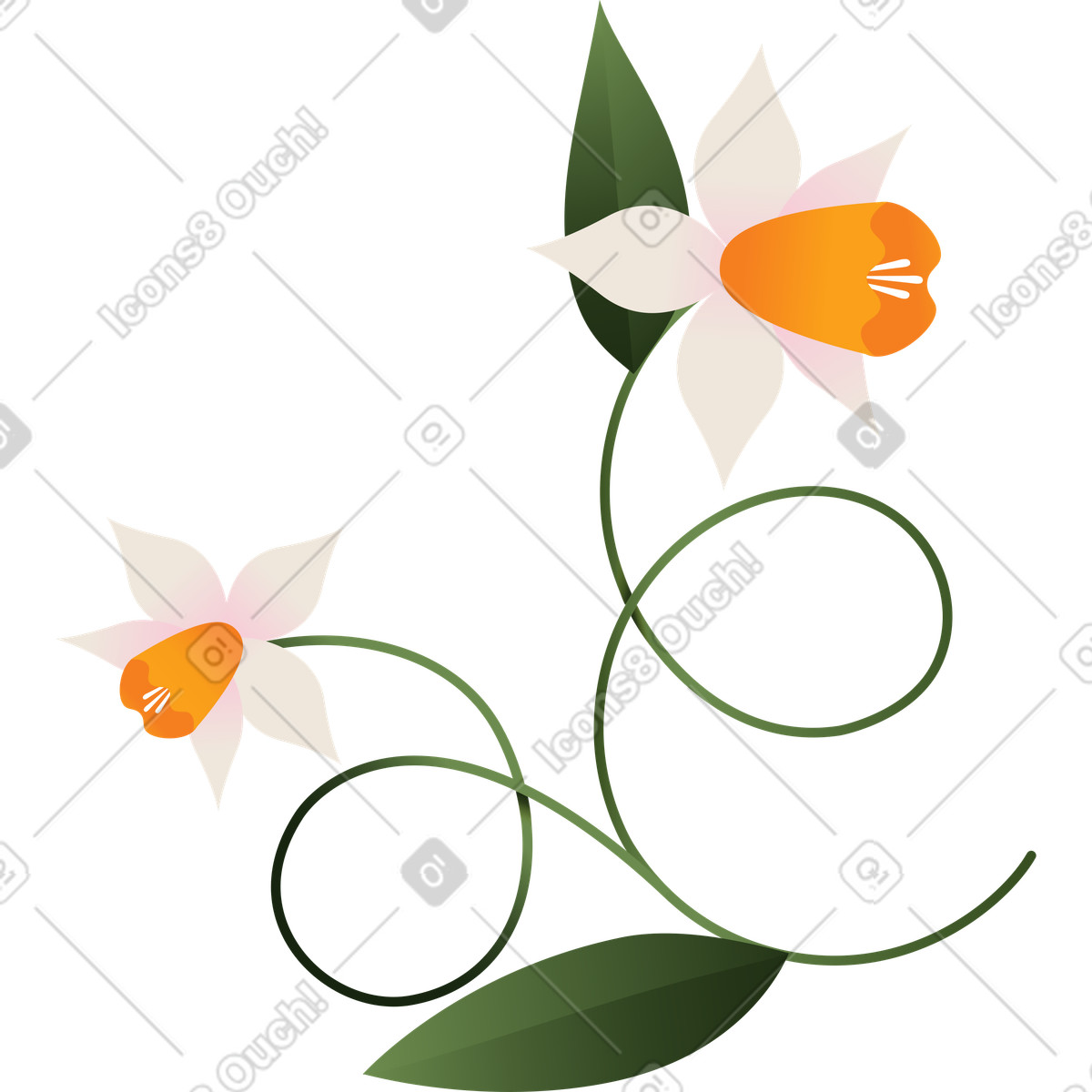 下载 Blossom 风格的 两朵大水仙花 插画，支持 PNG、SVG 格式