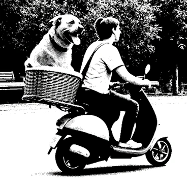 A dog happily sitting in a basket on a scooter as its owner rides through a park