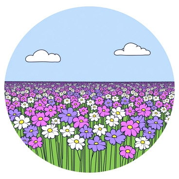 A vast, colorful field filled with blooming aster flowers under a bright blue sky