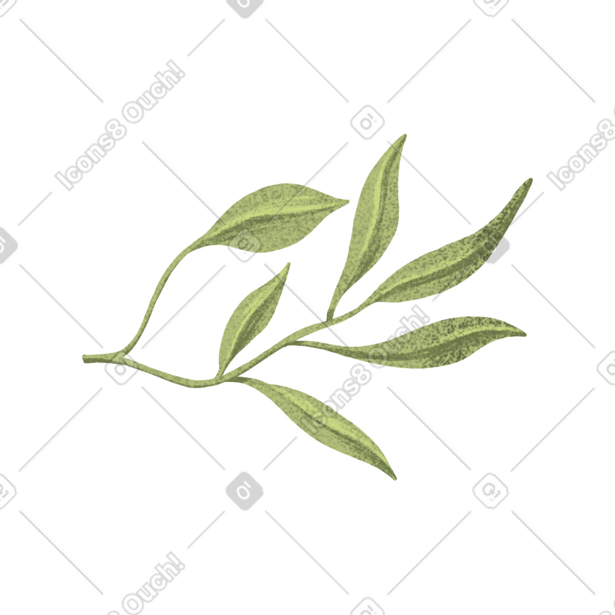 Illustration Thin branch with elongated green leaves dans le style Floral à télécharger aux formats PNG, SVG