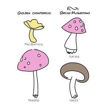 A field guide page featuring several mushroom illustrations. Each mushroom is carefully drawn with detailed characteristics displaying its shape, color, and texture. The top left corner contains the illustration of a "Golden Chanterelle," showcasing its bright yellow color and ruffled edges. Below it, there is an image of a "Fly Agaric," characterized by its vibrant red cap with white spots. To the right, a "Porcini Mushroom" is illustrated, showing its thick stem and broad brown cap. Each illustration is accompanied by its respective name, written clearly in a sans-serif font beneath it, ensuring readability. The background is a simple white to highlight the mushrooms.
