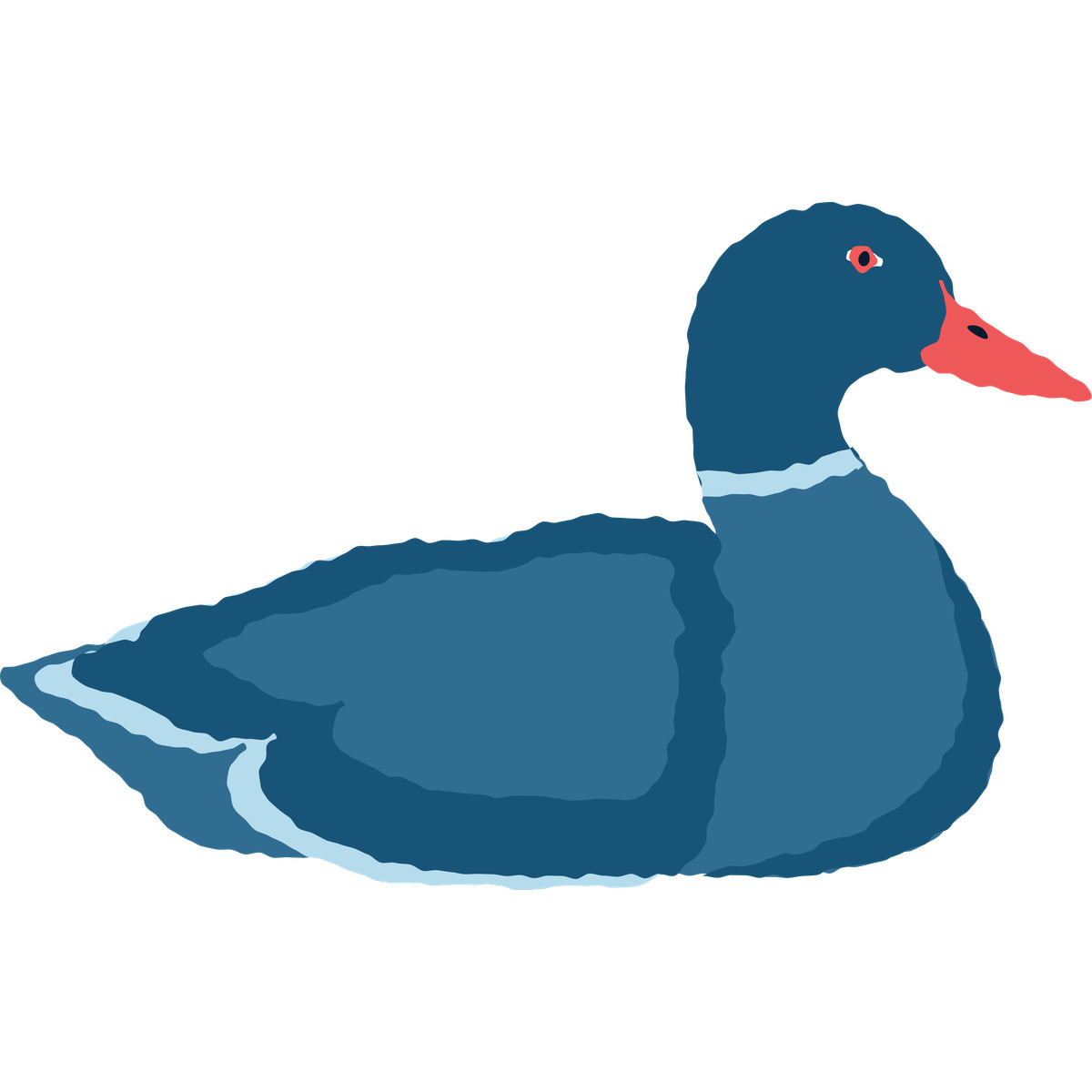 Duck illustration in Cherry style download in PNG, SVG