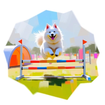 A Samoyed participating in an agility course, jumping over hurdles with excitement