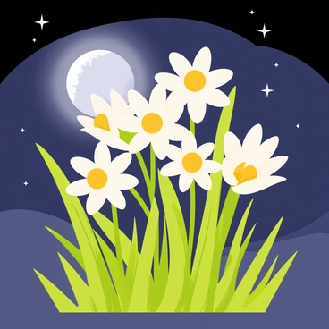 Narcissus