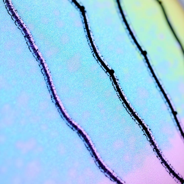 A close-up view of fish scales, showcasing iridescent colors that shimmer in shades of blue, green, and purple. The scales possess intricate patterns, featuring fine lines and curves that create a textured appearance. Each scale reflects light differently, enhancing the overall visual complexity of the image. The background is softly blurred to emphasize the details of the scales.