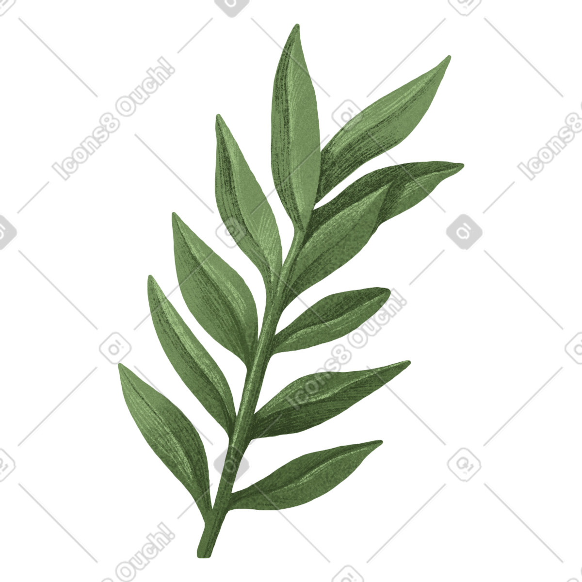 Dark green twig with curved leaves illustration in Floral style download in PNG, SVG