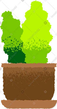 Office plant PNG, SVG