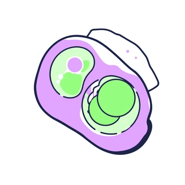 An illustration showcasing the process of cytokinesis is depicted, with a clear focus on the nucleus. In the center of the image, a cell is undergoing division, and two nuclei are formed, each surrounded by a distinct outline. The cell membrane is shown contracting in the middle, creating a visible cleavage furrow. Cytoplasmic components are visibly segregating into two separate sections. Each nucleus is detailed, displaying its double membrane structure, and chromatin is present within, indicating genetic material. The background is simple to emphasize the cellular structures.