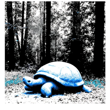 A Blastoise is lying on the ground in a forest clearing. The large turtle Pokémon has its characteristic blue shell and is resting comfortably. Tall trees with thick trunks rise in the background, their leaves forming a dense canopy above. Surrounding the Blastoise, there is lush greenery, including various plants and bushes. The ground is covered with a mix of grass and small plants, adding to the tranquil setting. Sunlight filters through the leaves, creating dappled shadows on the forest floor.