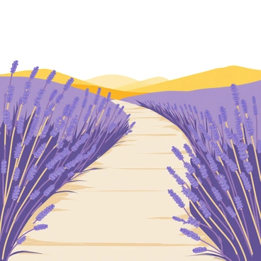 A pathway made of smooth stones winds through a vibrant lavender field. The lavender plants are in full bloom, showcasing deep purple flowers swaying gently in the breeze. The golden hour sunlight casts a warm glow over the scene, illuminating the flowers and creating soft shadows on the pathway. In the background, a few distant hills are visible, further enhancing the serene atmosphere of the landscape.
