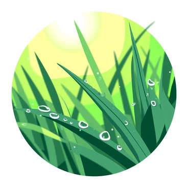 A close-up view of green blades of grass covered in droplets of morning dew. The dew droplets are reflecting light, appearing as tiny sparkling gems in the early sunlight. The background consists of softly blurred green grass, allowing the focus to remain on the intricate detail of the dew. The sunlight casts a warm glow that enhances the clarity and brilliance of each dew drop.