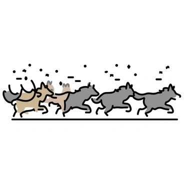A pack of six wolves, with thick grey fur, is shown sprinting across a snowy landscape. Their bodies are in mid-air, displaying their powerful legs while they chase a herd of ten deer in the foreground. The deer, with light brown coats and white tails, are running swiftly, their heads turned back towards the wolves. Snowflakes are falling gently from the sky, and the distant trees are covered in a layer of snow, adding a sense of depth to the scene. The ground is blanketed in fresh white snow, creating a stark contrast with the dark fur of the wolves and the lighter hues of the deer.