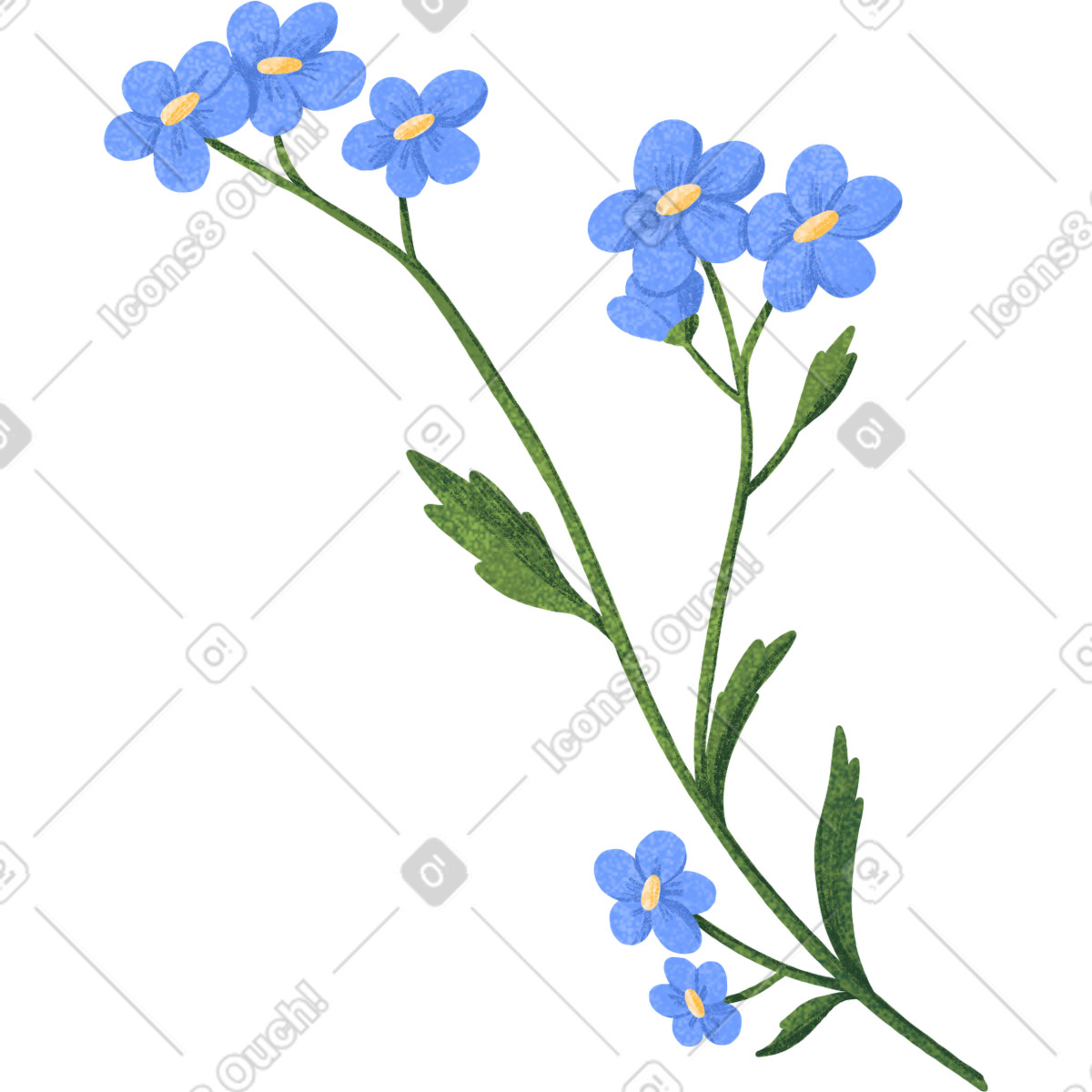 Twig of forget-me-nots with blue flowers illustration in Floral style download in PNG, SVG