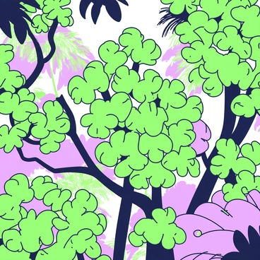 A bird's eye view of a tropical tree canopy showing visible moisture release