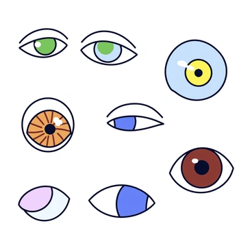 A collection of various eye shapes displayed on a simple white background. The first eye shape is almond-shaped, featuring a dark outline and a vibrant green iris. Next to it is a round eye shape with a light blue iris and a subtle highlight. Following that, there is another almond-shaped eye with a hazel color, showcasing an intricate pattern within the iris. Finally, a round eye shape with a deep brown iris appears, also featuring a glossy surface. Each eye is clearly defined, highlighting the differences in shape and color.