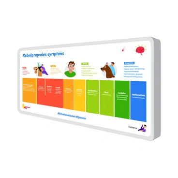 A colorful diagram mounted on a white doctor's office wall, illustrating the progression of rabies symptoms. The diagram features a timeline format with distinct sections for each stage of symptoms. 

At the beginning of the timeline, there are images of a healthy dog. As the timeline progresses, there are illustrations depicting initial symptoms like fever, irritability, and weakness. Next, the diagram shows more severe symptoms such as confusion, hallucinations, and paralysis, represented by expressive figures. 

Each stage is labeled clearly with concise text, using bold, easy-to-read fonts. The overall color scheme is bright, with each symptom section in different shades, creating a clear visual contrast. The diagram is framed with a neat border and includes icons like a thermometer and brain, enhancing the informative aspect of the illustration.