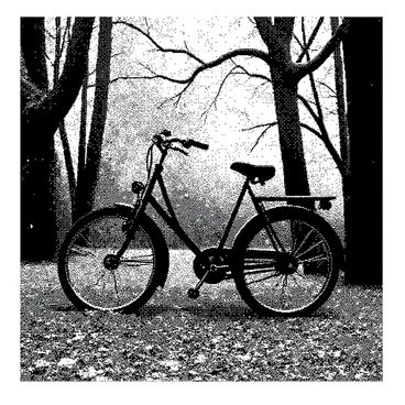 A vintage bicycle is positioned centrally within a forest setting. The bike has classic features, including a curved frame and a large front wheel. Surrounding the bicycle are tall, twisting trees with intricate bark patterns. Delicate leaves and branches gently arch over the scene, creating a natural canopy. The ground is covered with a coarse texture of leaves and small flowers. The atmosphere is filled with various shapes of mushrooms scattered about, growing from the forest floor. In the background, hints of dappled light can be seen filtering through the tree branches.
