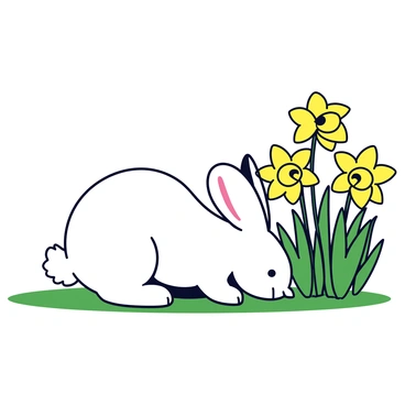 A fluffy white rabbit with large ears is nibbling on green grass. Next to the rabbit, there is a patch of vibrant yellow daffodils with trumpet-shaped flowers. The flowers stand tall, their bright colors contrasting with the rabbit's fur. The grass around the rabbit is lush and evenly distributed, creating a natural setting for the scene.