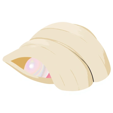 A clam shell that is half-open, showcasing the smooth, curved edges of the shell. The inside of the shell is shiny and reflects light, revealing a large, iridescent pearl nestled within. The pearl has a creamy white surface with hints of pastel colors shimmering across its surface. The clam shell has a textured, sandy beige exterior with subtle lines and grooves, adding to its natural appearance. Tiny droplets of water glisten on the shell, enhancing the overall visual of this oceanic treasure.