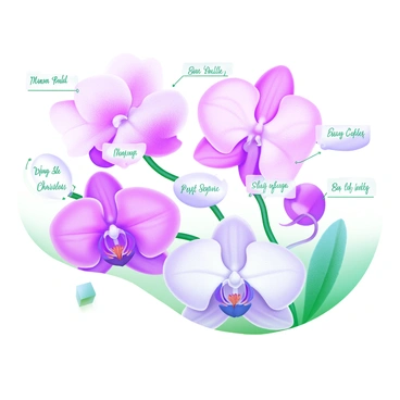 A modern pastel illustration of a tattoo design featuring a collection of orchids in various shades of pink, purple, and white. Each orchid is intricately detailed, showcasing unique petals and textures. Surrounding each orchid is a label displaying its scientific name in elegant, cursive font. The layout is harmonious, with the orchids arranged in a flowing manner, creating a sense of movement throughout the design.