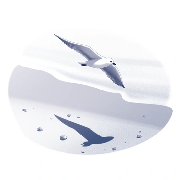 Seagull