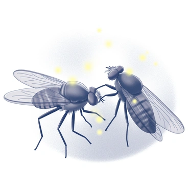 A close-up illustration depicting fireflies, focusing on their abdomens where the bioluminescence occurs. The image shows the intricate details of the firefly’s body, including the transparent wings and segmented abdomen. Visible chemical reactions are illustrated with tiny glowing particles, symbolizing the luciferin and luciferase interaction. The background is subtly blurred to emphasize the fireflies and their light emission process.
