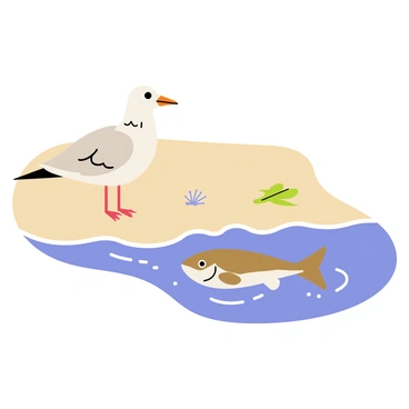 A cartoon-style illustration of a seagull with white and gray feathers standing on a sandy beach. The seagull has a keen expression as it watches a flounder with a mottled brown and white body swimming just beneath the clear blue water's surface. The flounder is partially visible, with its flat body gliding gracefully through the water. Gentle waves lap at the shore, creating ripples that reflect the sunlight. In the background, a few seashells and pieces of seaweed are scattered on the sand.