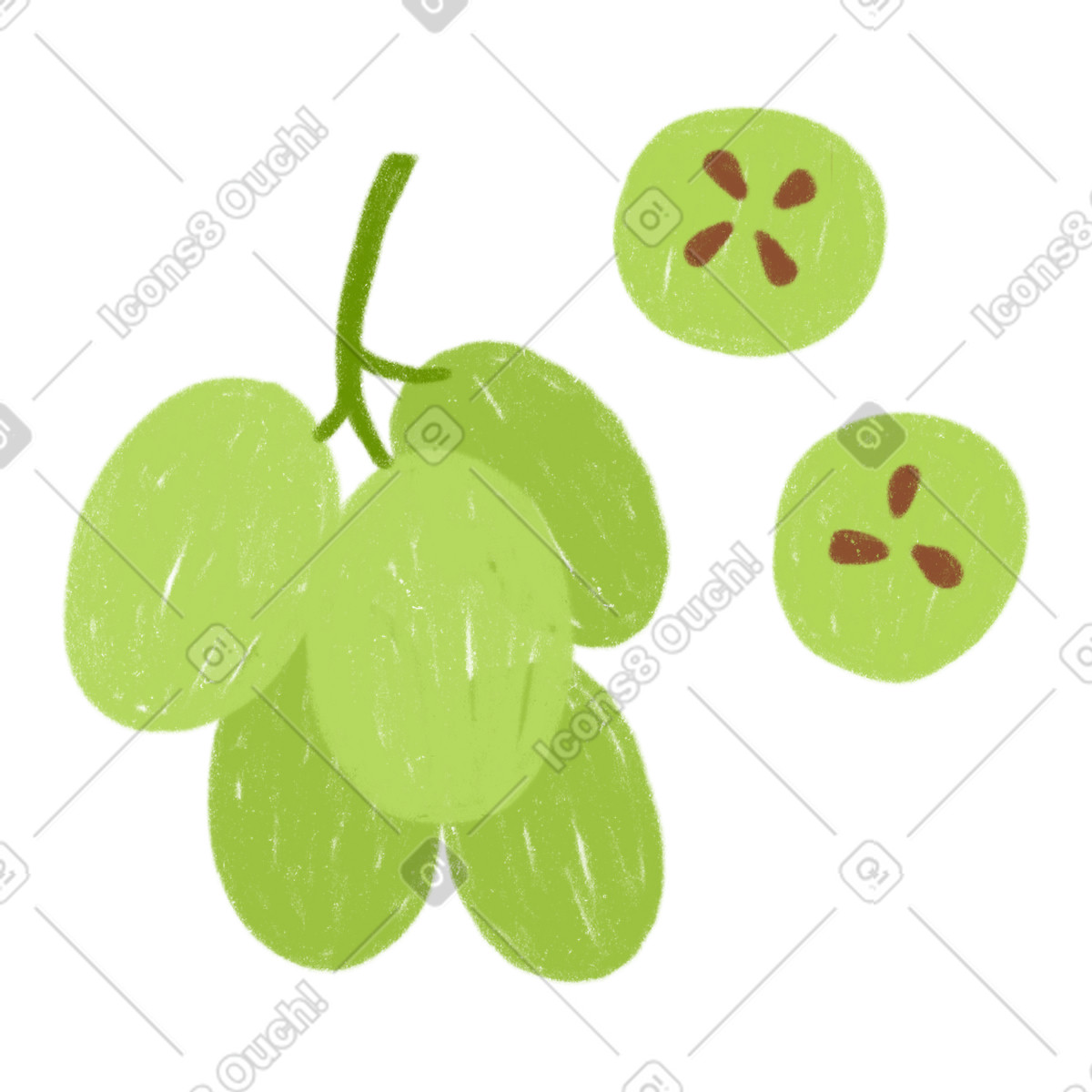 Ilustración Bayas de uva verdes, productos frescos. en estilo Cozy a descargar en PNG y SVG