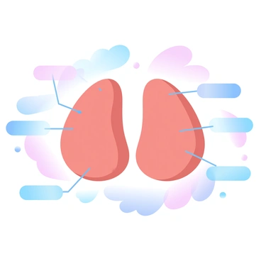 An anatomical illustration of healthy tonsils, showing their location and structure in the throat.