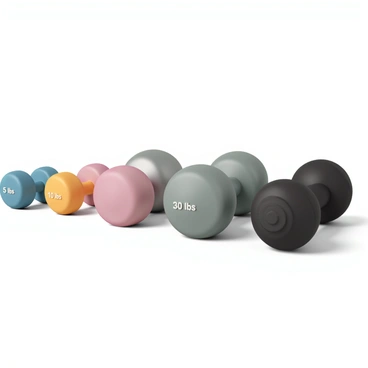 A set of dumbbells in various styles and weights lined up side by side on a gym floor. The first dumbbell is a lightweight, colorful plastic one, marked with a "5 lbs" label. Next to it, there is a sleek, metallic dumbbell with a matte finish, labeled "10 lbs". The third dumbbell is a heavier cast iron one, robust and black, with a shiny surface, marked "20 lbs". Finally, a larger rubber-coated dumbbell, labeled "30 lbs", sits next to the others, showcasing a textured grip. Each dumbbell exhibits distinct designs, showcasing their purpose for front raise exercises.