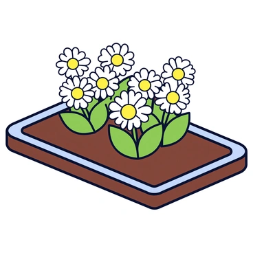 A garden bed with neat soil lines and well-trimmed edges. The bed is filled with clusters of white daisies, each flower displaying bright yellow centers and delicate petals. The daisies are arranged in groups, creating a lively, colorful display. Surrounding the flowers, there are patches of green leaves that enhance the vibrant look of the garden.