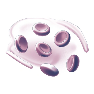 A group of red blood cells are depicted in motion within the bloodstream. Each cell has a round, biconcave shape, showcasing their characteristic appearance. The cells are positioned close together, with some overlapping and others appearing to bounce off one another, creating a sense of playfulness. The environment around the cells features flowing plasma, represented with gentle curves and soft lines to suggest movement. The overall composition highlights the dynamic interactions among the blood cells as they travel through the circulatory system.