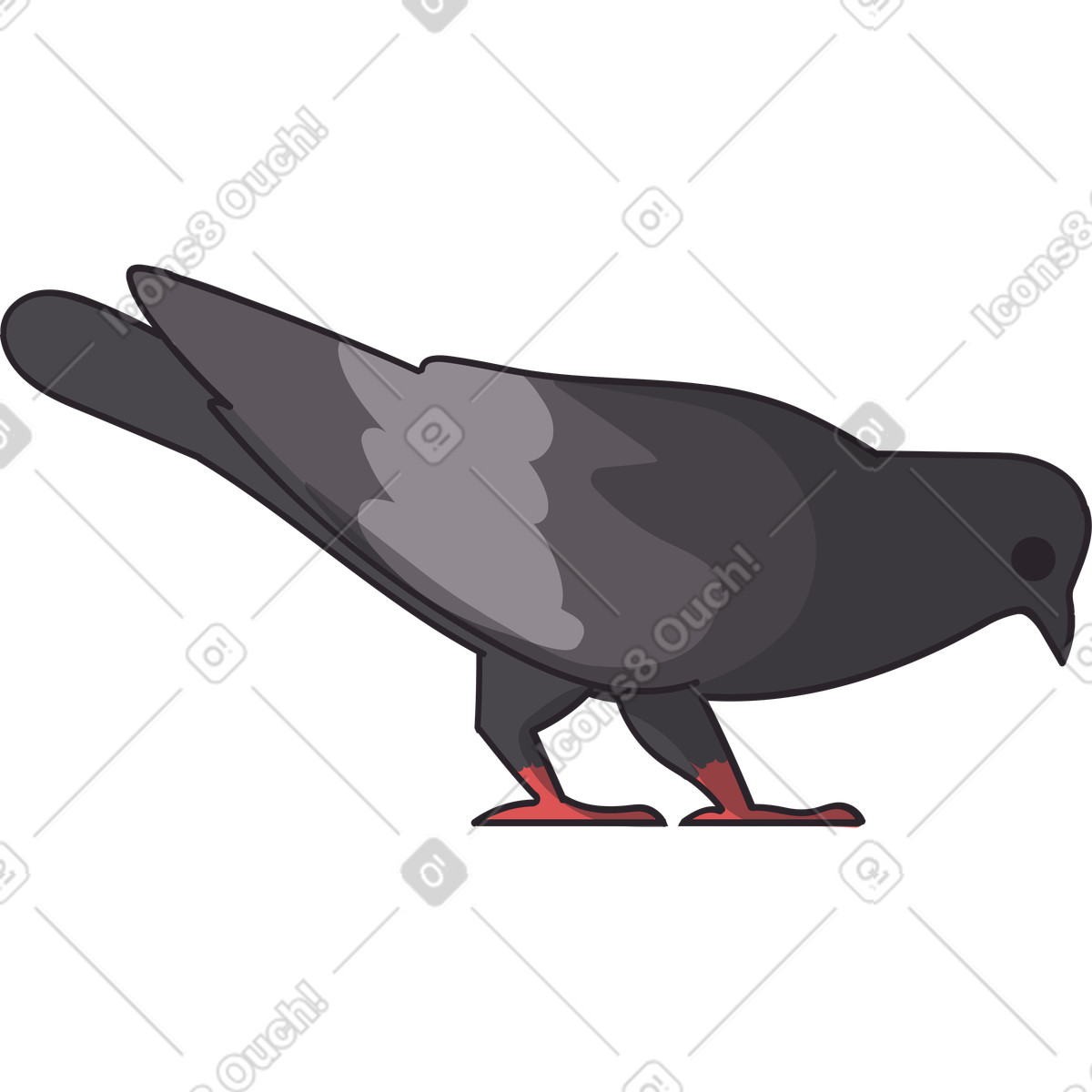 Grey pigeon pecking at food illustrazione in stile Eastwood scarica in PNG, SVG