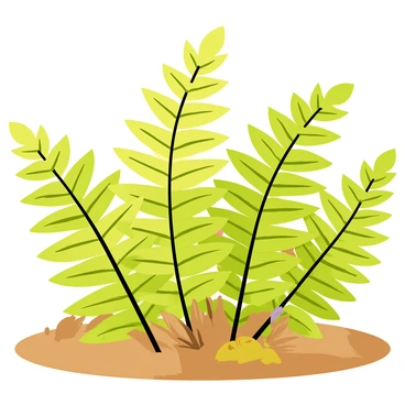 A cluster of green ferns with intricate fronds sits on the forest floor. Soft sunlight filters through the surrounding tall trees, casting warm golden rays onto the ferns, highlighting their textures. The ground is covered with a layer of brown leaves, and small patches of moss are visible around the base of the ferns.