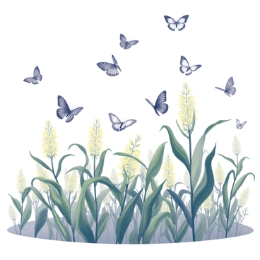 A swarm of butterflies in various sizes and shapes is fluttering above a cornfield. The corn plants are tall and lush, with green leaves arching elegantly. The field is dotted with bright yellow blooms interspersed among the green stalks. The butterflies are caught mid-flight, with their wings spread wide, showcasing intricate patterns. The scene captures the dynamic movement of the butterflies as they dance in the air over the vibrant cornfield.