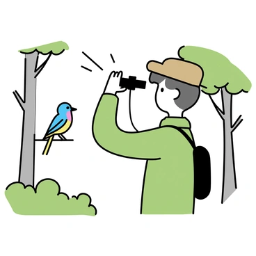 A person, wearing a green jacket and a brown hat, is standing in a lush forest. They are holding a pair of binoculars up to their eyes, intently observing a "rare bird" perched on a branch nearby. The person is surrounded by tall trees and green foliage, with patches of sunlight filtering through the leaves. The rare bird is colorful, with vibrant feathers, and is perched prominently on a low-hanging branch, making it the focal point of the scene.