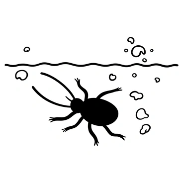 An aquatic beetle exhibiting a streamlined shape is swimming just below the water surface. The beetle has elongated antennae extending from its head and finely textured legs propelling it through the water. Surrounding the beetle are various air bubbles rising toward the surface, creating a pattern of movement in the water. The rippling surface above shows a slight disturbance from the beetle's motion.
