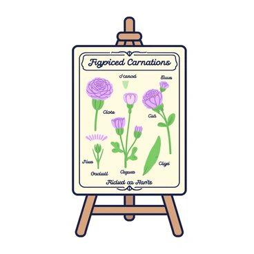 A vintage botanical chart is displayed on a wooden easel. The chart features detailed illustrations of various species of "carnations", each labeled with their scientific names. Each illustration showcases the unique characteristics of the flowers, including the shape of the petals and the arrangement of the leaves. The background of the chart is a soft beige color, enhancing the vivid details of the "carnations". The top of the chart has an ornate border, adding a classic touch to the overall presentation.